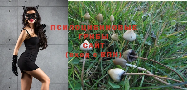 наркотики Алексин