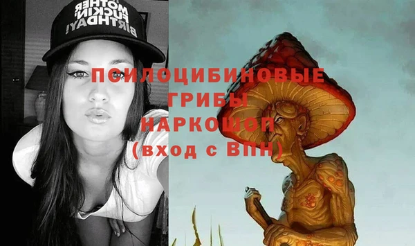 ешки Абаза
