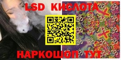 прущие крисы Кингисепп
