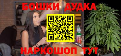 прущие крисы Кингисепп