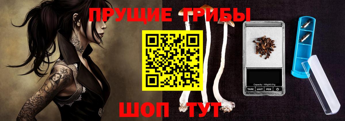 Галлюциногенные грибы Magic Shrooms  Вход с VPN  Галлюциногенные грибы Psilocybine cubensis  Ржев 