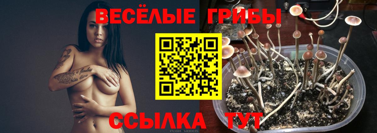 Галлюциногенные грибы ЛСД Ржев